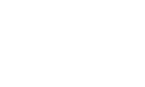 Origine del Vino Logo